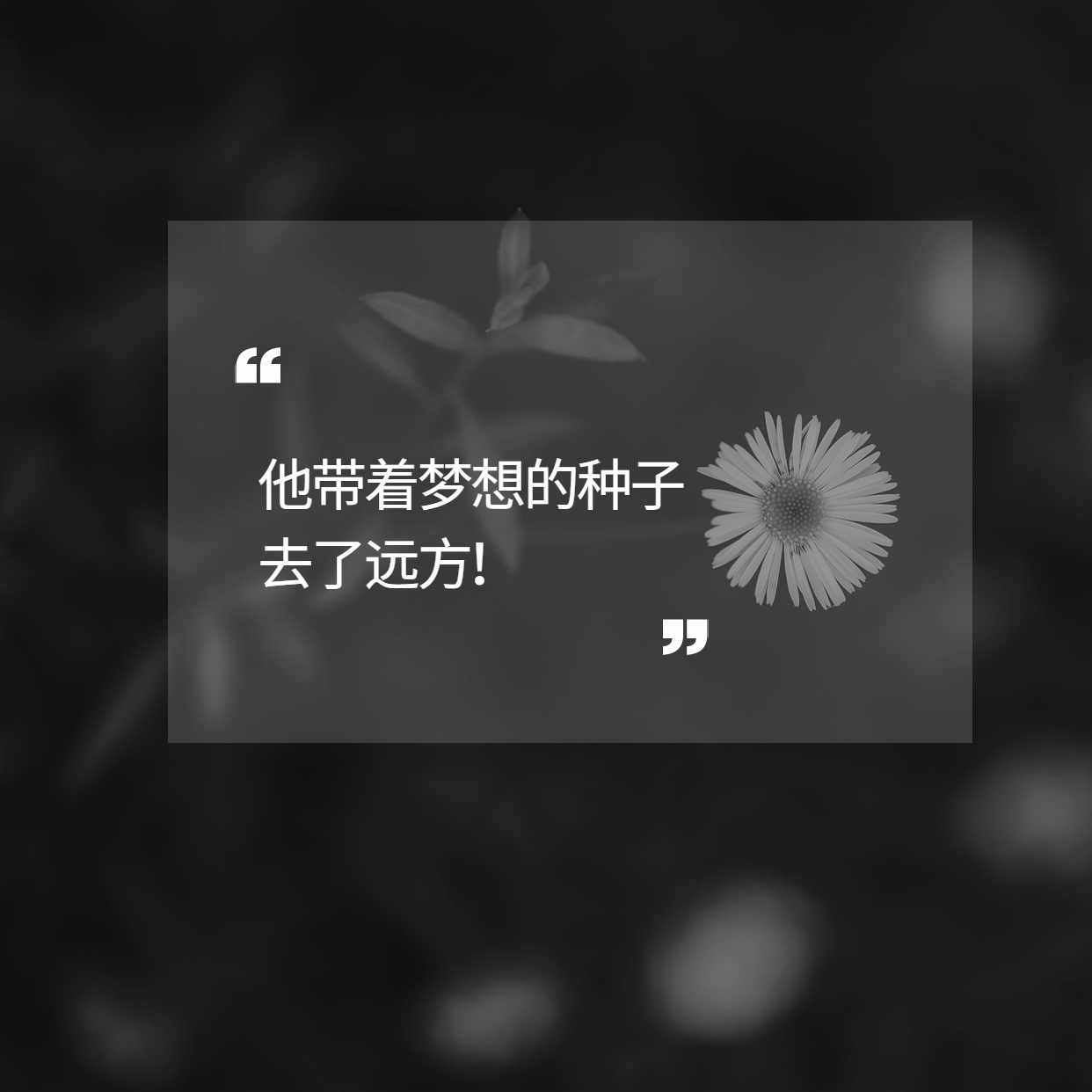 袁隆平用一粒種子的力量改變了世界！